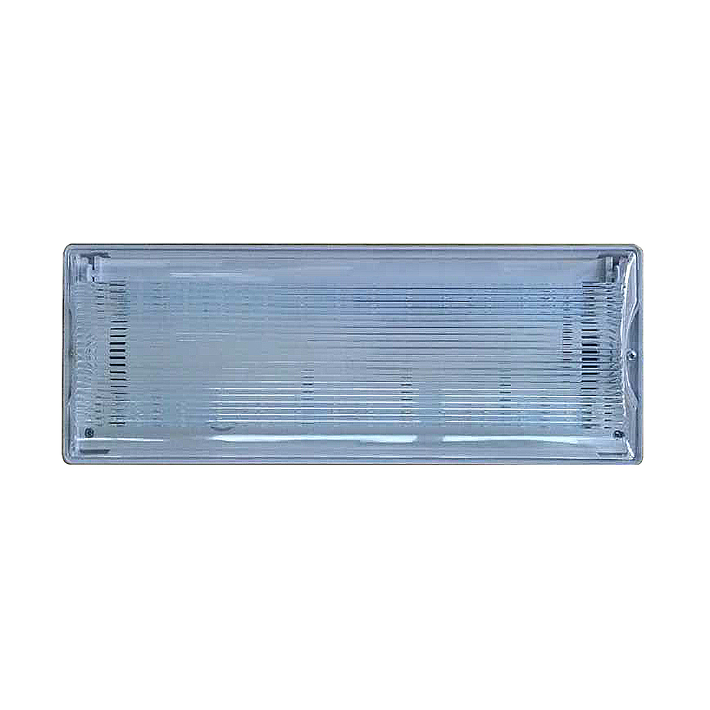 LED NON-MAINTAINED EMERGENCY BULKHEAD  2*2W