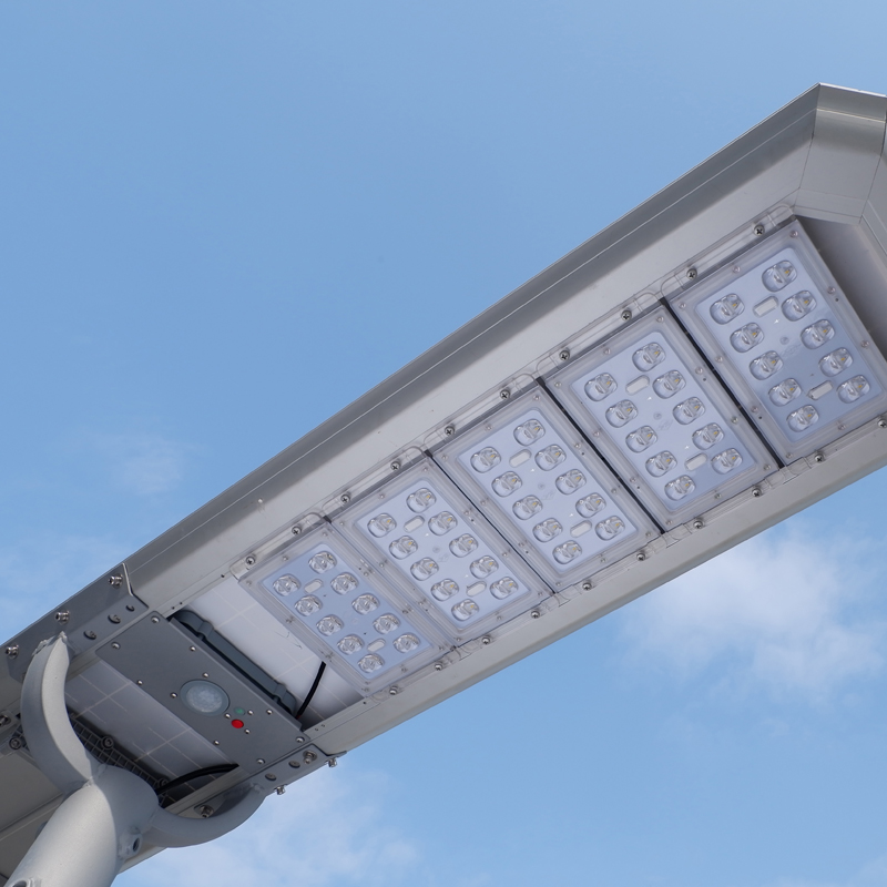 30 W solar street light  Poles installed