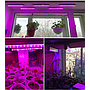 Plant Grow Light Tube  10W