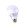 Bulb light 3000/6500K 9W H21